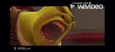 Is this what perfection looks like