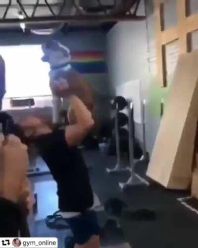 brighten your Tuesday