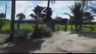 Filho de anjo e demonio