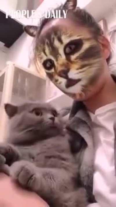 You peeps like Cat Freakouts?