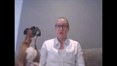 Someone wasn't very keen on the lesson.