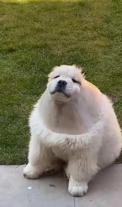 Someone looks like they’ve been playing with the funnel in the backyard