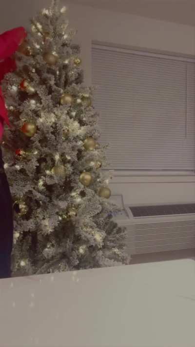 My Christmas 🌲  u like ?