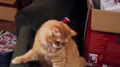 When you have NO clue what is going on...