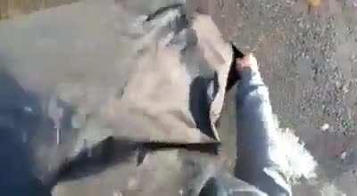 He was doing so well