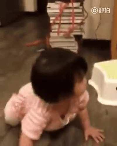 The cat's reaction looks like she says I didn't do anything haha.. what would your reaction be if your cat did the same to you?