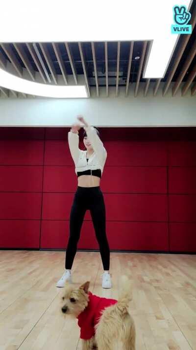 201108 - Boo also wants to participate in Momo's dance class