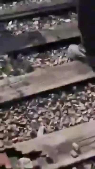 Паучье царство. Арахнофобу лучше не смотреть! )