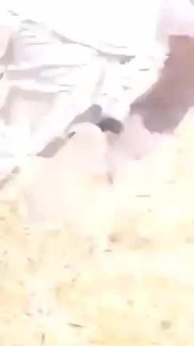 Huge explosion sends tank tumbling towards cameraman