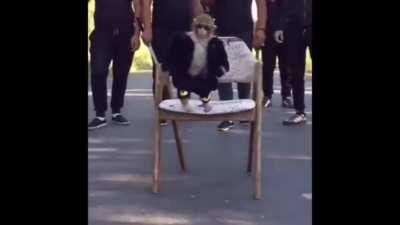 First time doing something like this; I'm just really hyped.