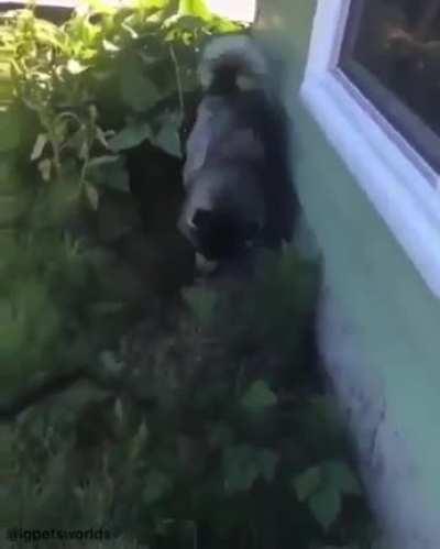 And the Oscar goes to……!