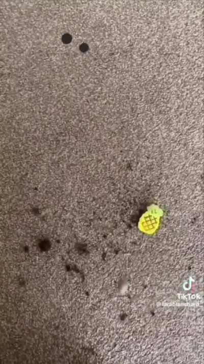 Girls Get Dirty Feet Exposed Tik Toks