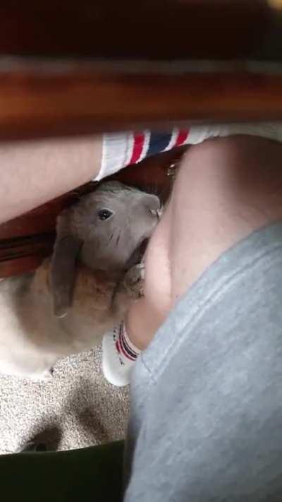 Working from home is difficult with this cute weirdo about