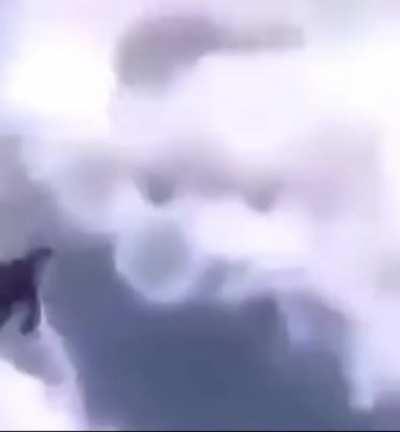 horse when thrown by zook 🥵😮‍💨😹🦧✋🐴