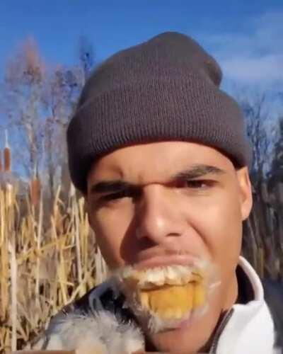 Shitpost 113 que pendejo