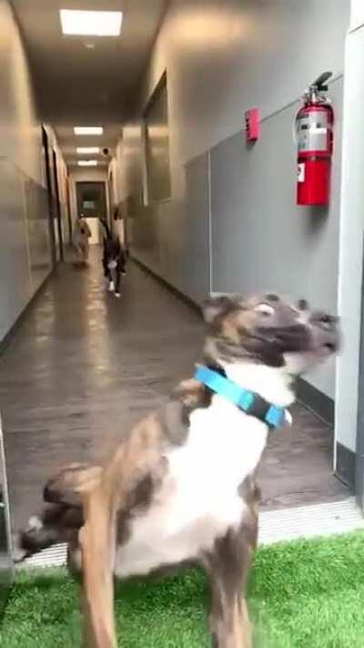 WCGW if I hit the brakes on a slick floor