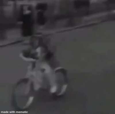 Definite proof that if monke try be human he will sooner or later return to monke 🐵🍌