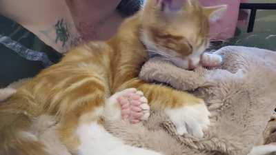 ....I feel like I'm interrupting something. Volume up!