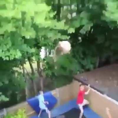 Monkey voices at the end