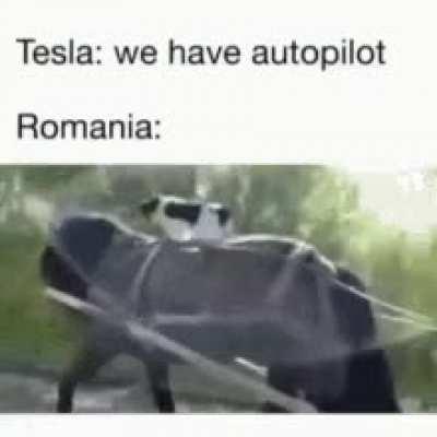 The worms ask for a 1 week ban