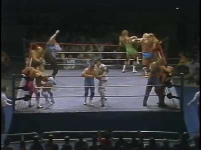 16-Man Battle Royal, (May 1, 1989 from Hamilton, Ontario at Copps Coliseum) Best of the WWF Volume 20 VHS