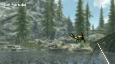Fishing in Skyrim