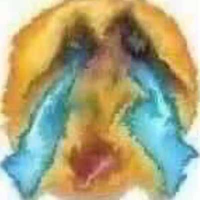 when your big brother won't give you OP on the minecraft server after your diamond pick fell in lava