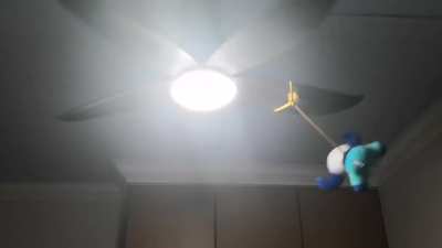 My Broker plush arrived