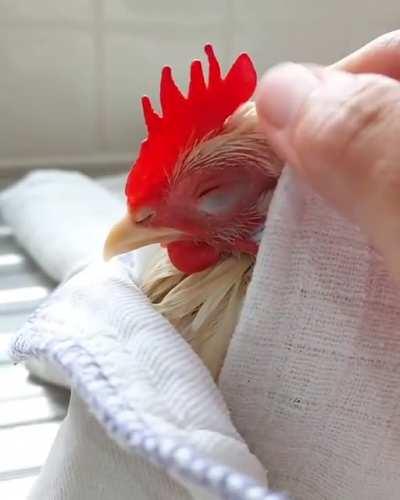 diRtY pERVErt sTarTS RUBBING hIs cOCk in PUbliC