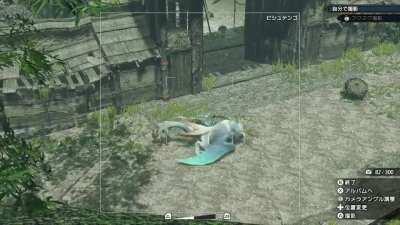 Bishatan: What are you looking at!?