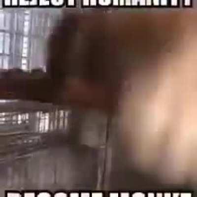 i woke up to my friend sending me this on discord