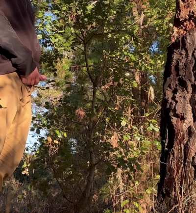 (28) Giving myself some relief, after finishing yesterday's hike