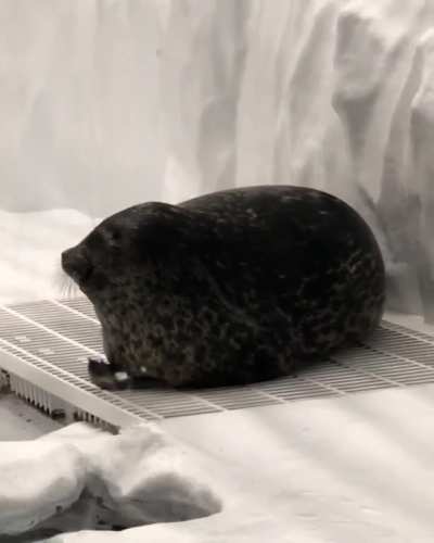 Feeling blessed to have witnessed this unit in action