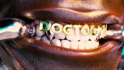 Created a music visualizer for DOGTOOTH