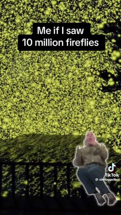 Me if I saw 10 million fireflies 
