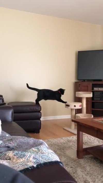 maybe if i stretch first?