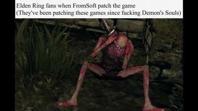 I swear to God Elden Ring fans make DS2 fans look good