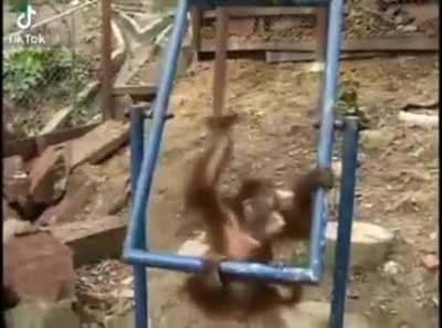 Saddest video in the history😔😔😭