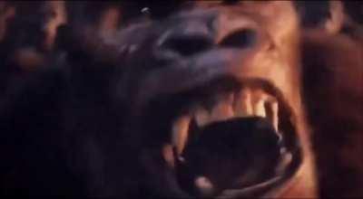 THIS VIDEO WAS SPONSORED BY SURF SHARK, GODZILLA X KONG IS OBJECTIVELY TERRIBLE BECAUSE OF MINUS ONE AMD ONLY JAPAN CAN MAKE A GOOD GODZILLA MOVI-