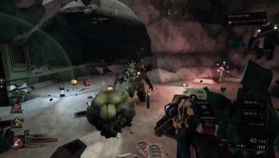 They killed the lootbug why :(