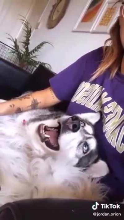 I'm singing pls don't interrupt