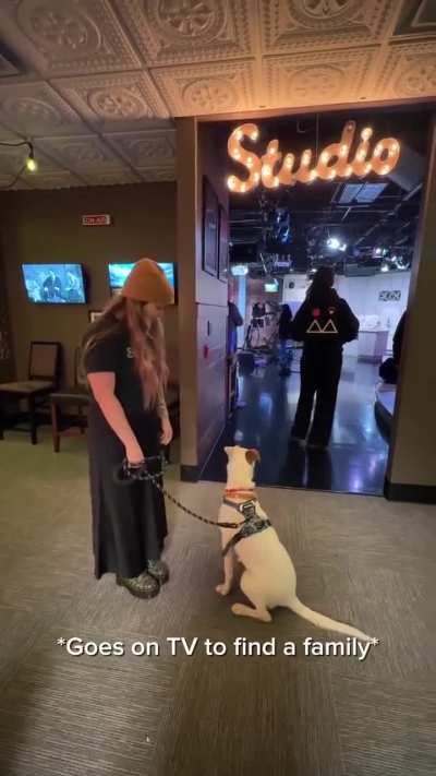 Today In Nashville. WSMV4 TV. October 28th 2025