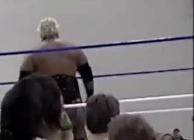 Rikishi stinkface on girl. Believe she’s the same girl that got one from Meatball