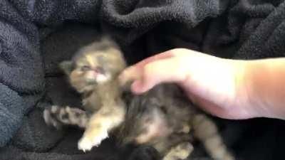 Criminal attempting escape.