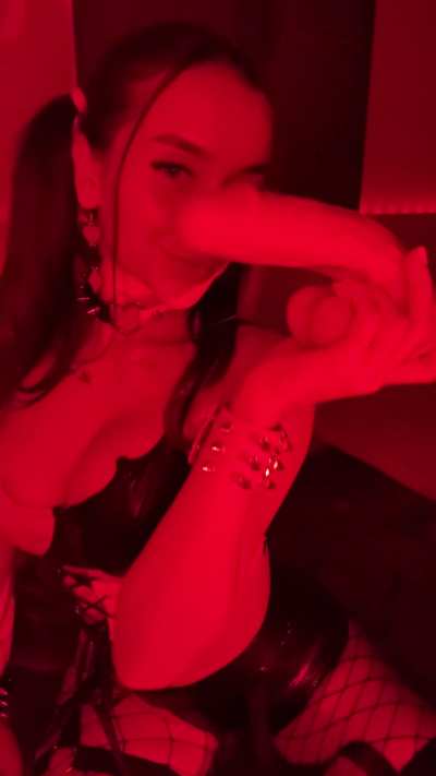 It seems Harley always knows how to break the rules