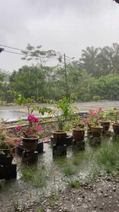 Heavy afternoon downpour.