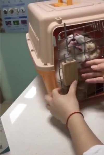 They put me on the good stuff man