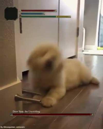 Door Stop, the Unyielding