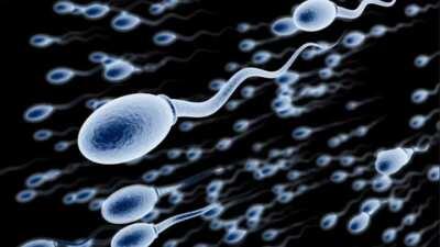 Curiosidades del cum