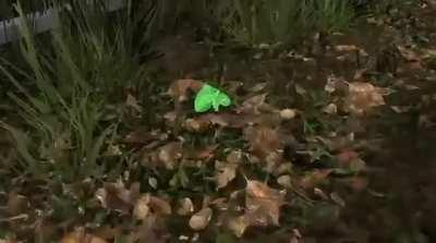 Average artifact maxxing playthrough